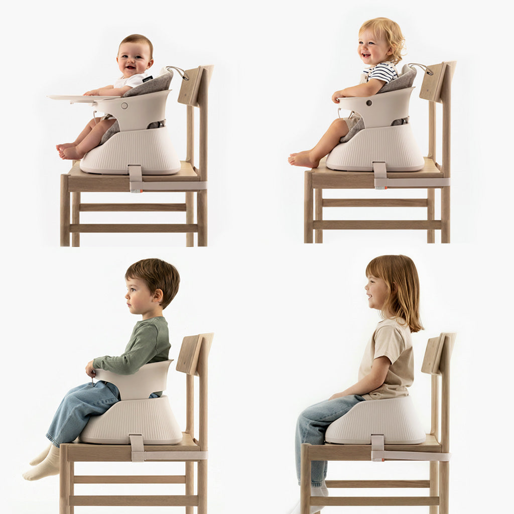 Premium Portable High Chair - Charcoal Black | Hannie